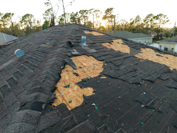 Trusted Loyal, WI Roofing Service Experts